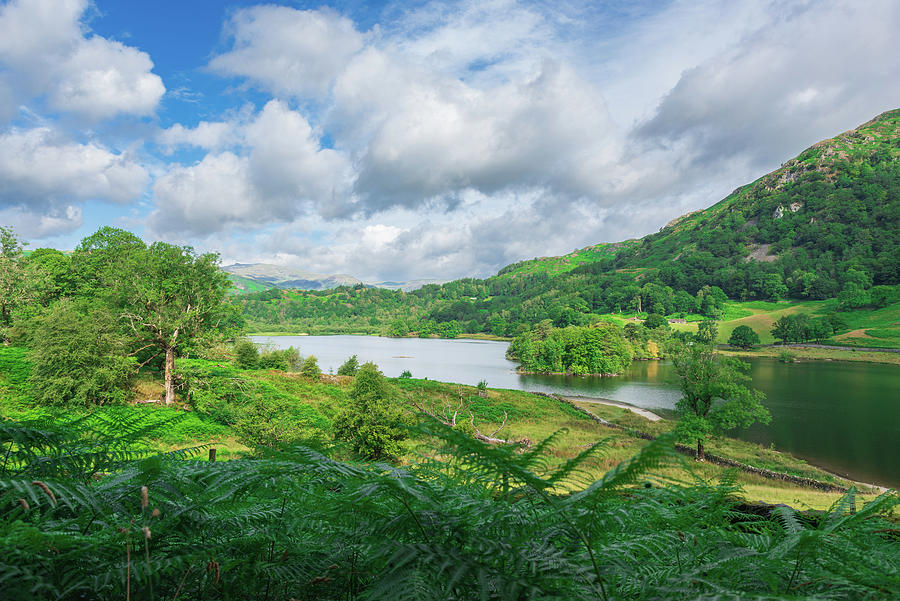 Rydal Lake Photograph by Paul Hodson