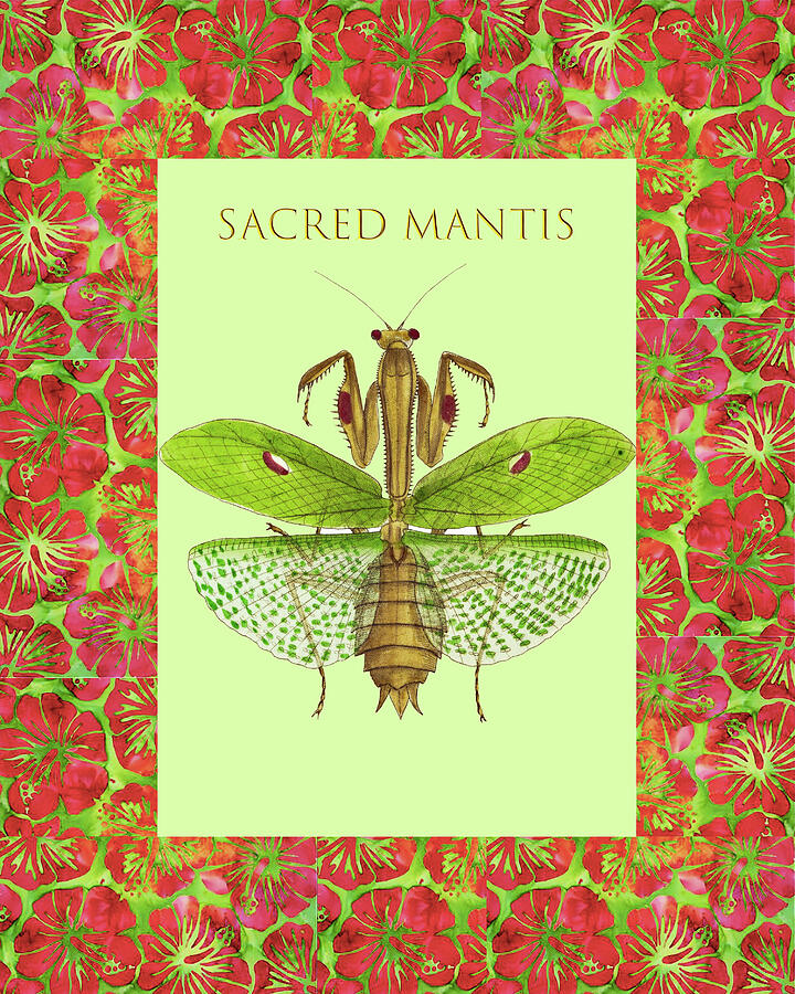Sacred Mantis #2 Mixed Media by Lorena Cassady