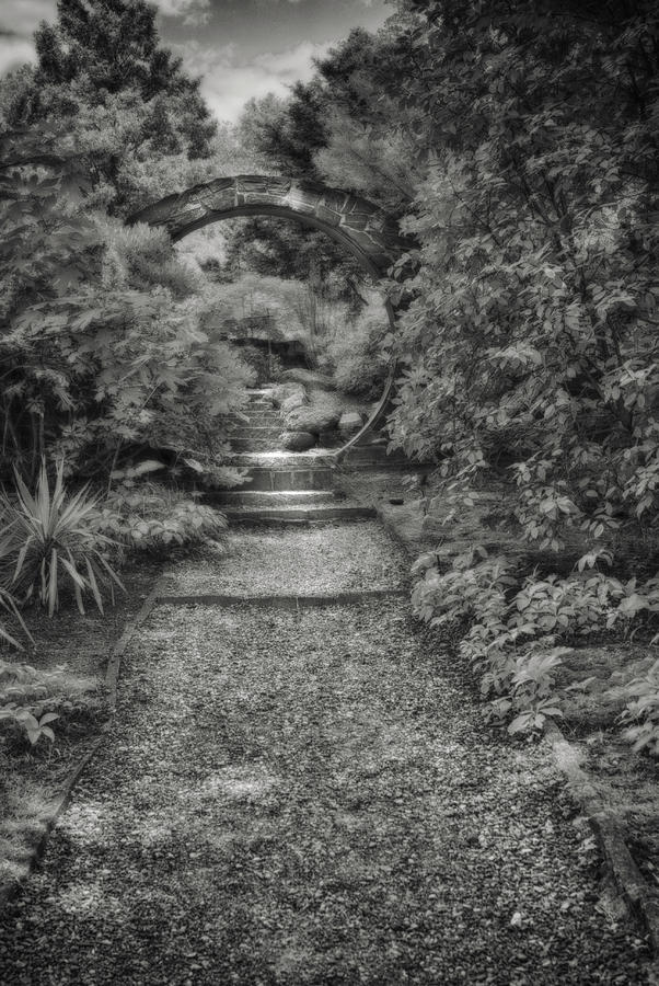 Sacred Path In Black And White Photograph By Paul Mangold Fine Art