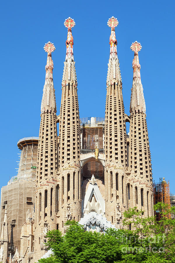 Sagrada Familia cathedral, Barcelona #1 Photograph by Neale And Judith Clark
