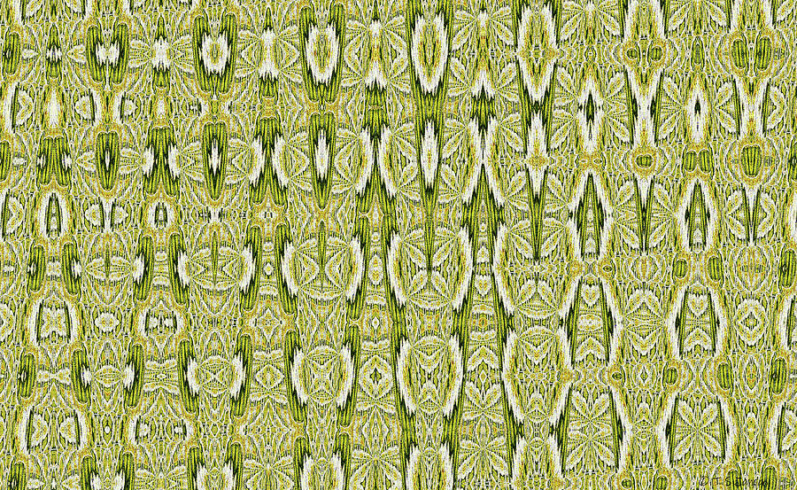 Saguaro Flowers Abstract #1 Digital Art by Tom Janca