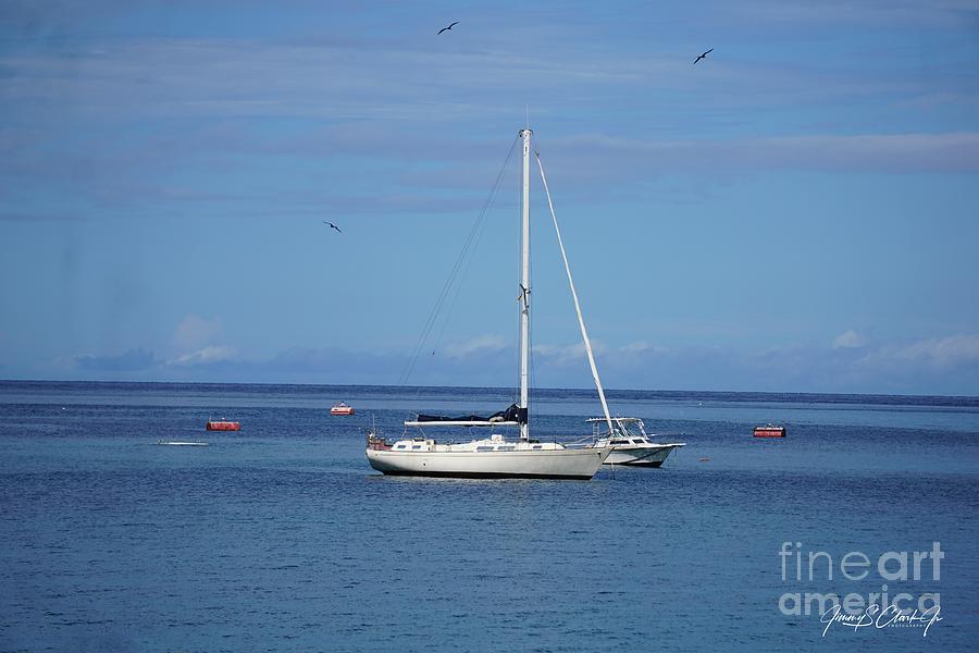 Sailboat by Jimmy Clark Sailboat by Jimmy Clark