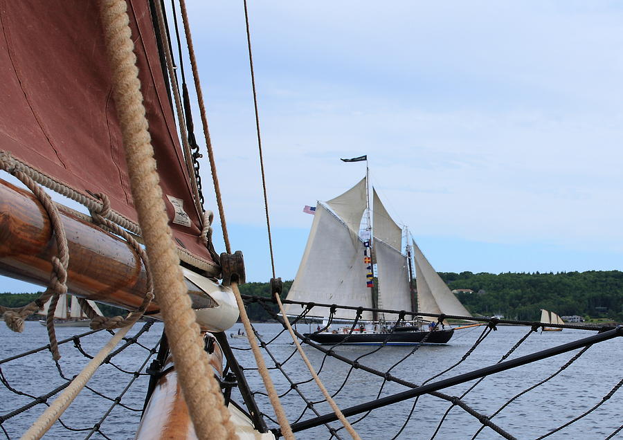 Sailing Penobscot Bay Photograph