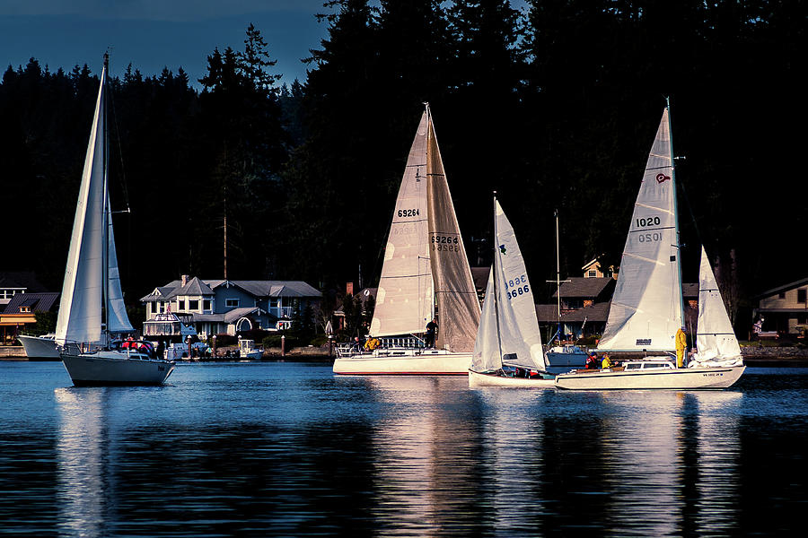 Sailing the Harbor #1 Photograph by David Patterson