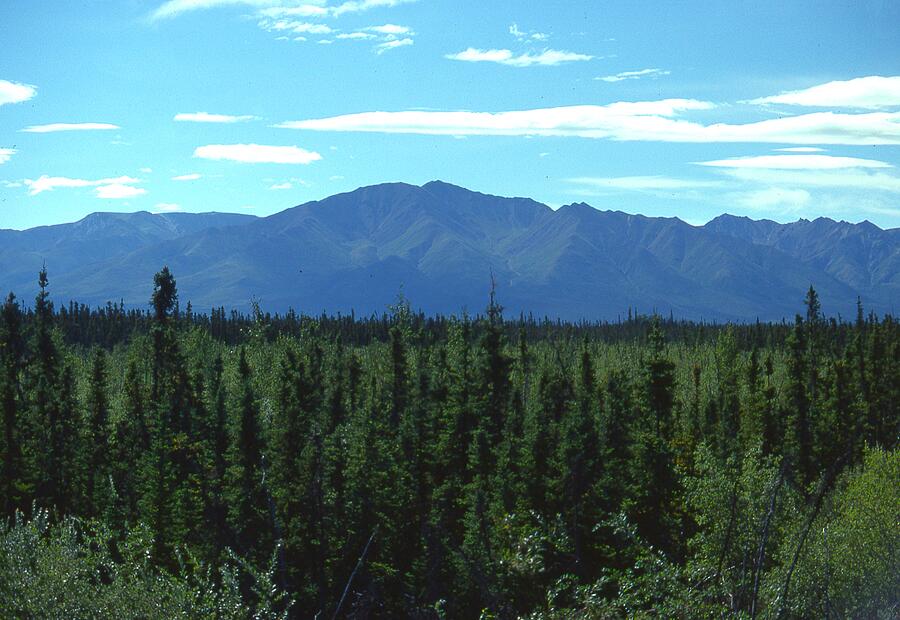 Saint Elias Mountains Yukon #1 Photograph by Lawrence Christopher