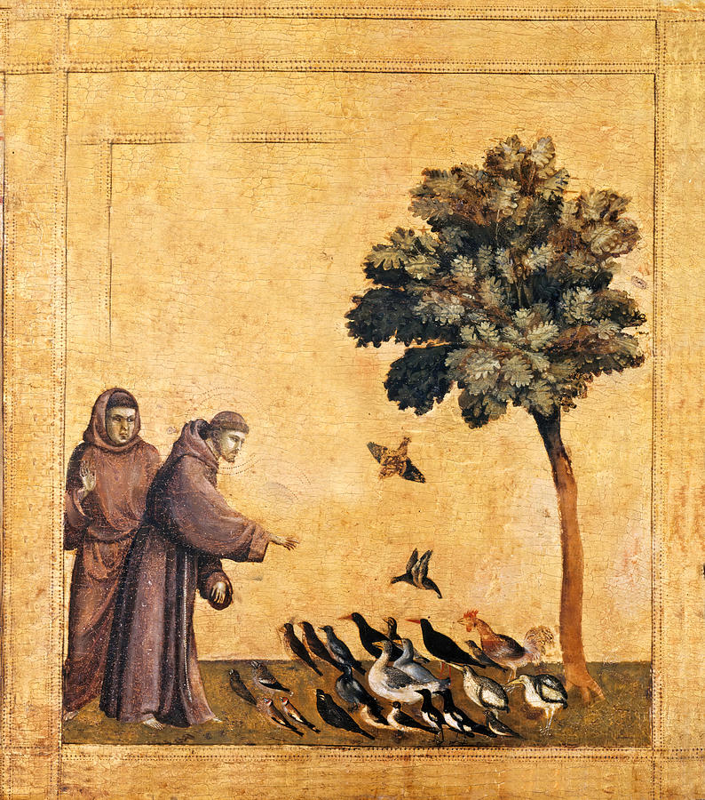 Saint Francis of Assisi Preaching to the Birds #1 Painting by Giotto di Bondone