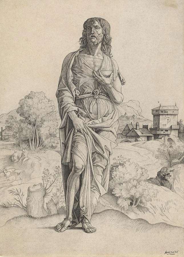 Saint John the Baptist #1 Drawing by Giulio Campagnola