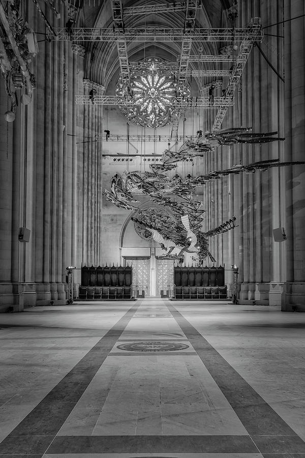 Saint John the Divine Phoenix Rise #1 Photograph by Susan Candelario
