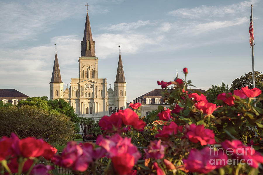 Saint Louis Cathedral #1 Photograph by FineArtRoyal Joshua Mimbs
