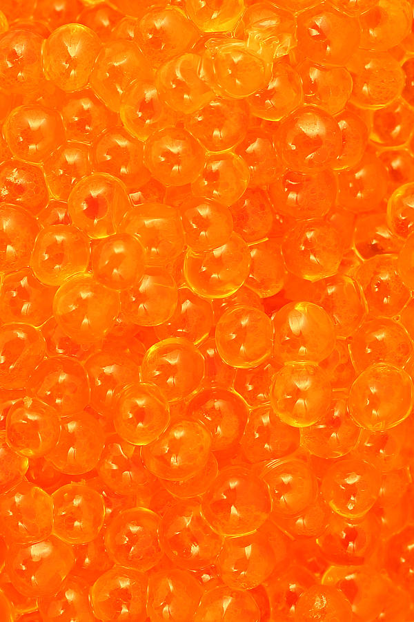 Salmon caviar close up #1 Photograph by Pejft