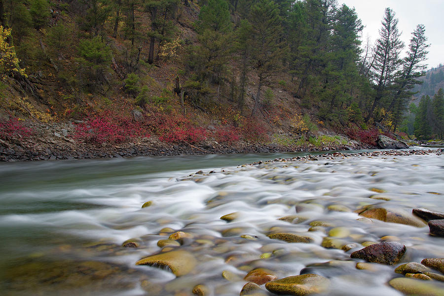 Salmon River #1 Photograph by Mike Bachman