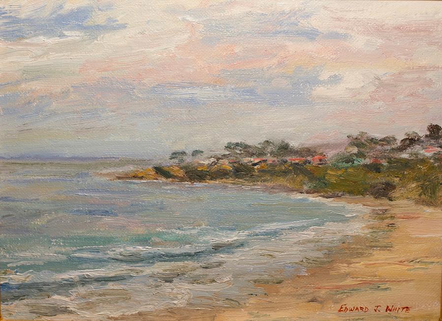 Salt Creek Beach #1 Painting by Edward White