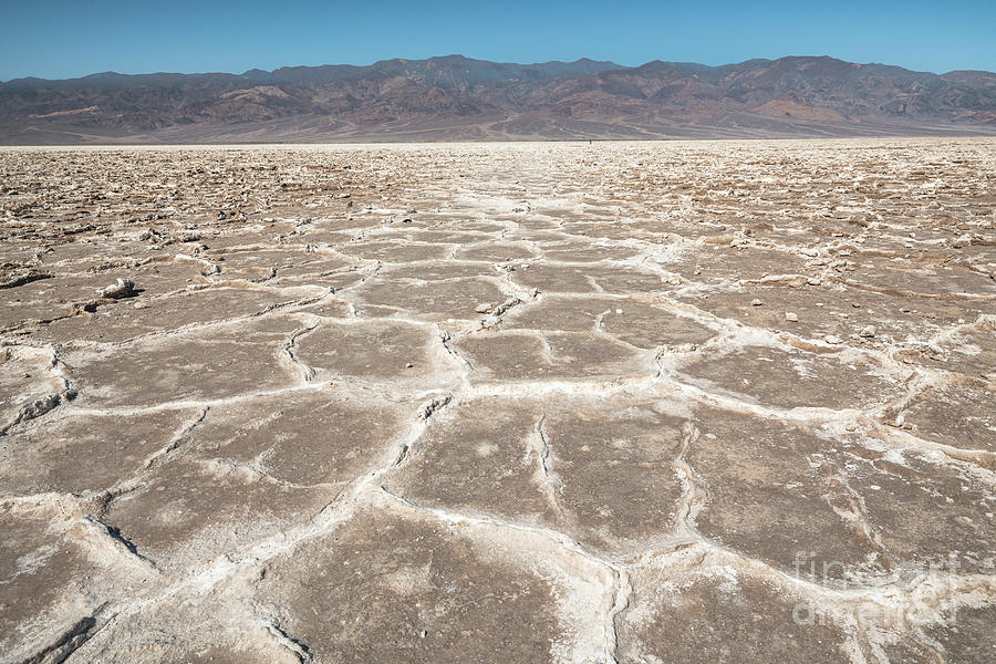 Salt flats and mud cracks in Death Valley National Park #1 Photograph by Hanna Tor