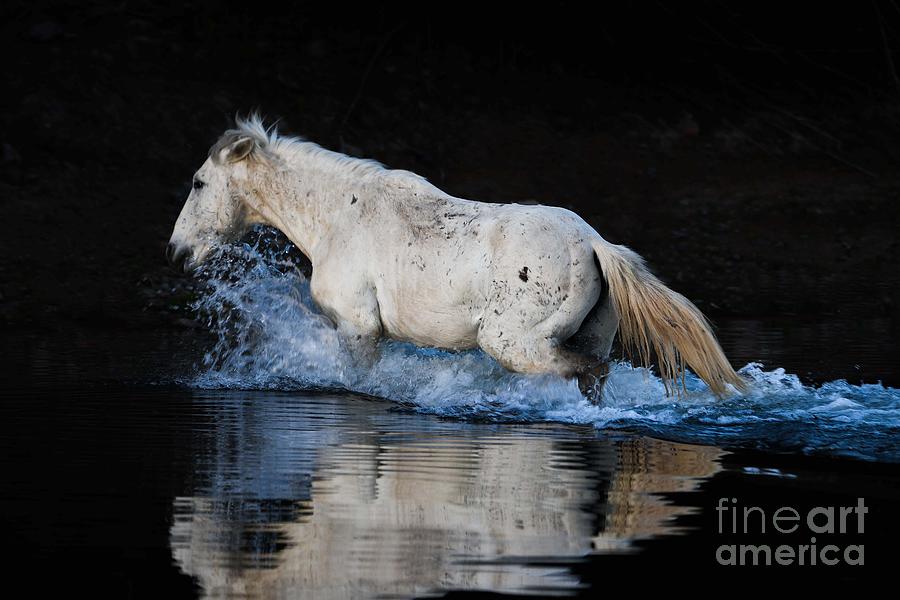 Salt River Wild Horse Crossing The Salt River #6 Digital Art by Tammy Keyes