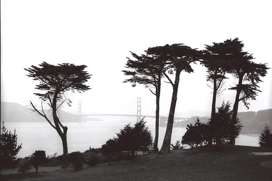San Francisco #1 Photograph by Claude Taylor