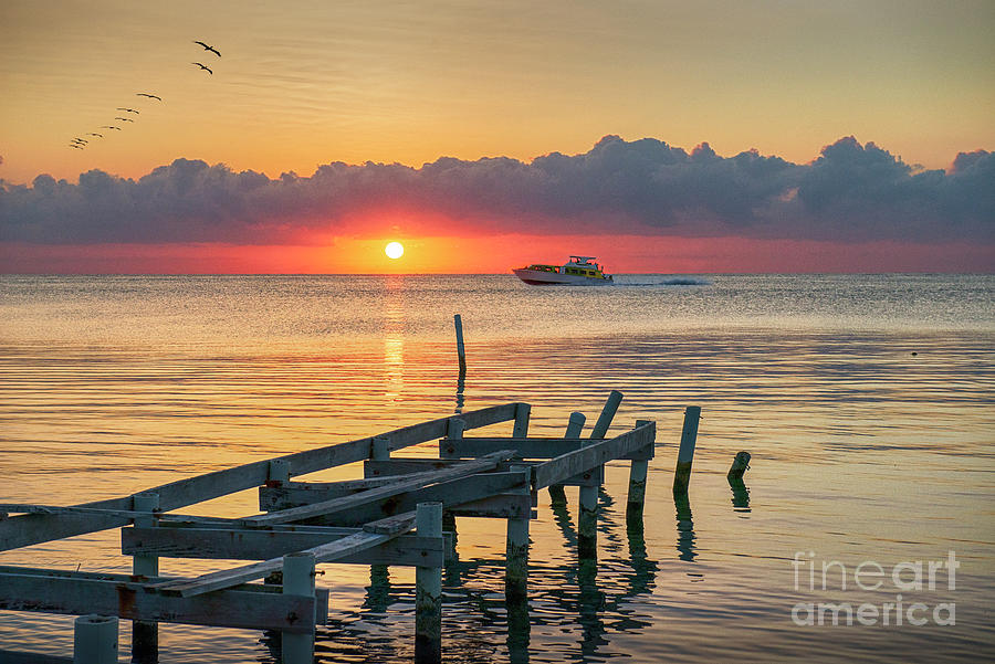 Sunrise Dock Morning Secret Photograph by David Zanzinger