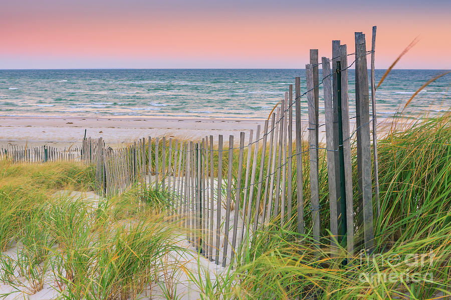Sand Dune Fences, Cape Cod #1 Photograph by Henk Meijer Photography