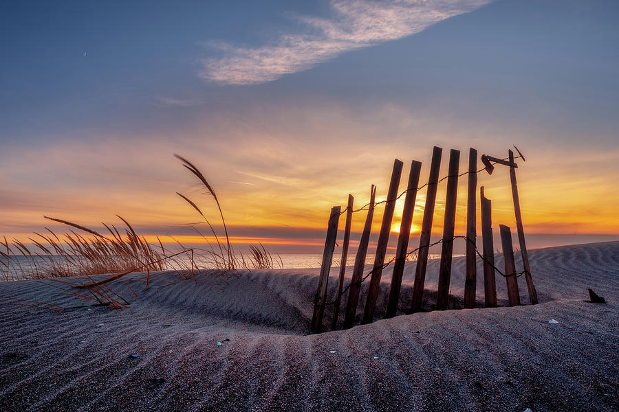 Beach Sand Dunes Sunset