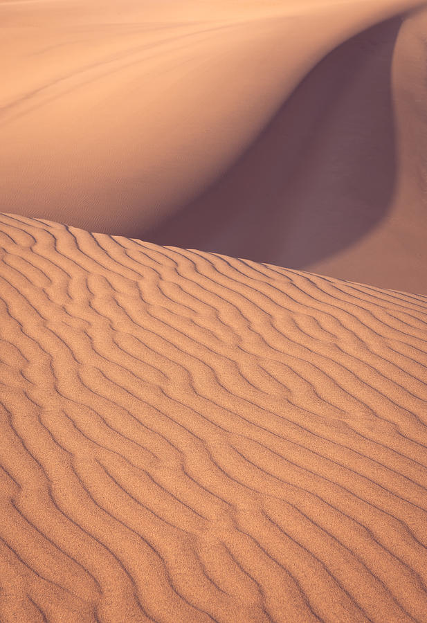 Sand Dune with Movement Photograph by Peter Boehringer