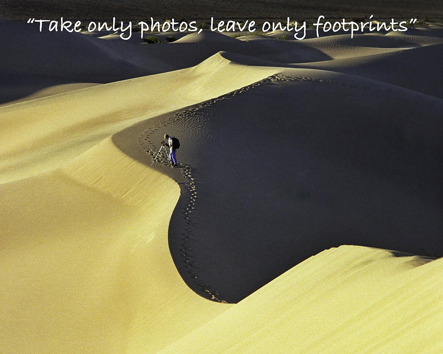 Sand Dunes, Death Valley #1 Photograph by Joe Palermo