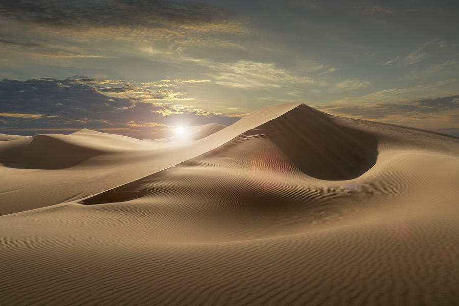 Sand dunes in a desert at sunset #1 Photograph by Buena Vista Images