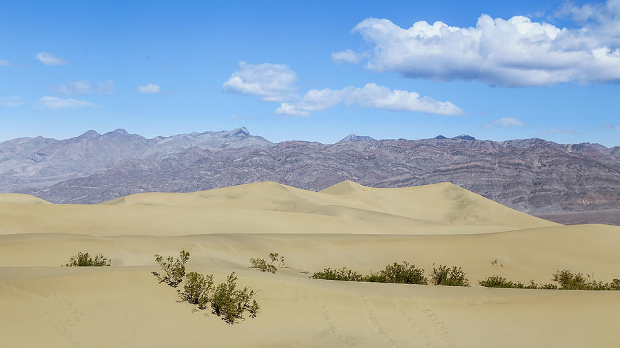 Sand Dunes in Death Valley #1 Photograph by Alberto Zanoni