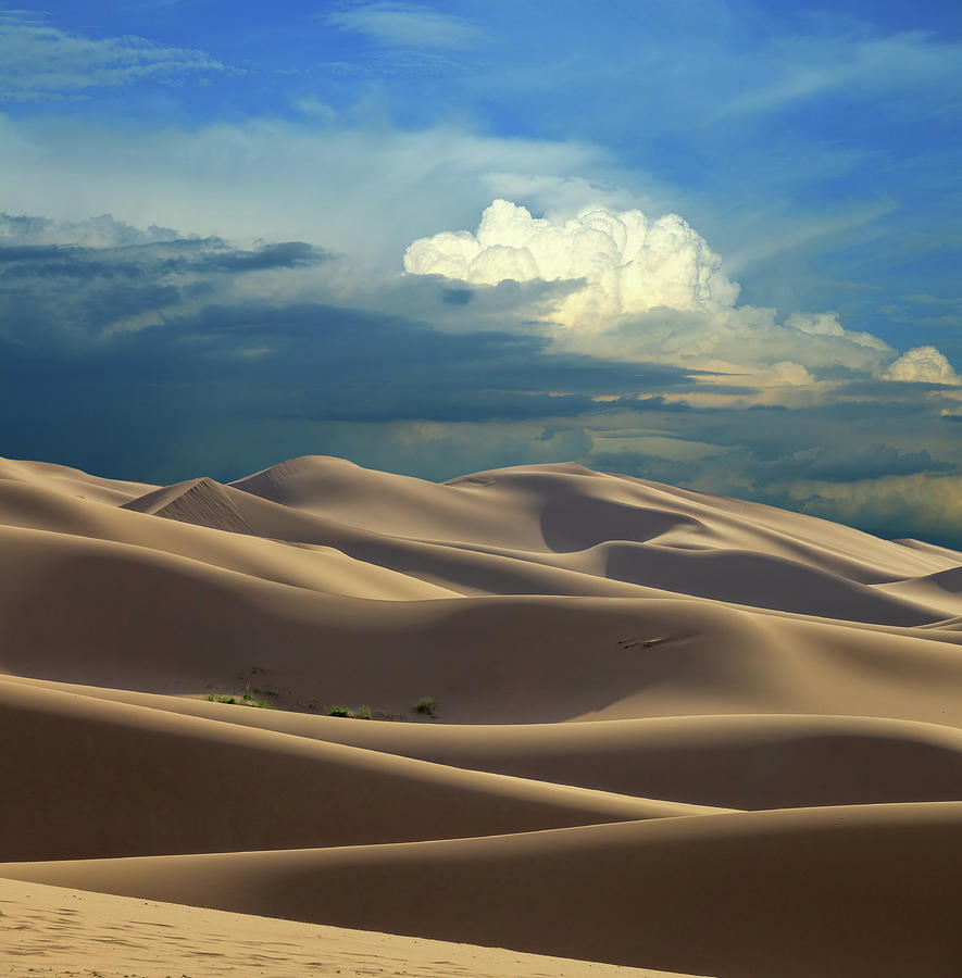 Sand dunes in desert at sunset #1 Photograph by Mikhail Kokhanchikov