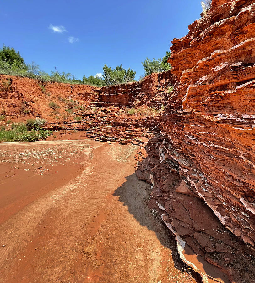Sandstone and Gypsum - Caprock Canyons State Park, Texas #1 Photograph by Richard Porter