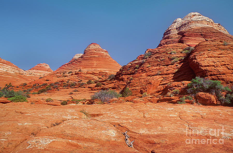 Sandstone Formations Colorado Plateau Utah #1 Photograph by Dave Welling