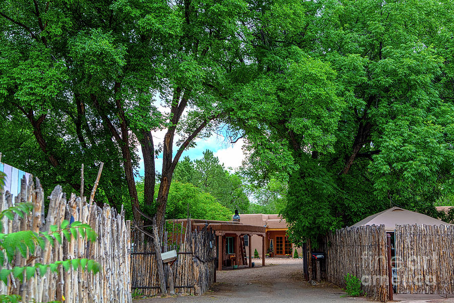 Santa Fe Culture #1 Photograph by Roselynne Broussard