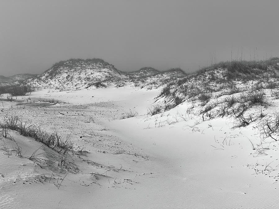 Santa Rosa Sand Dunes, Gulf Islands National Seashore, Florida #1 Photograph by Dawna Moore Photography