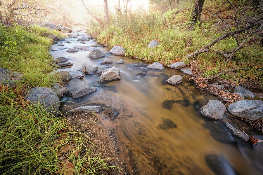Santa Ysabel Creek #1 Photograph by Alexander Kunz