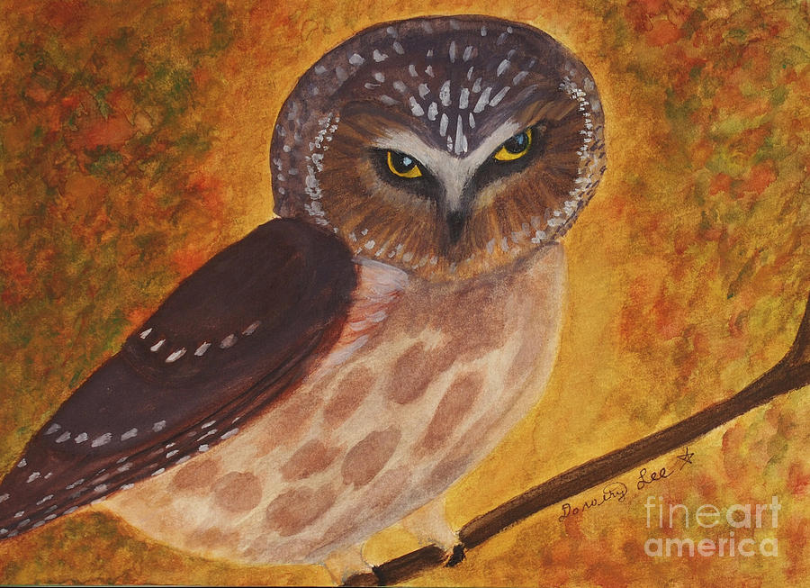 Saw Whet Owl #1 Painting by Dorothy Lee