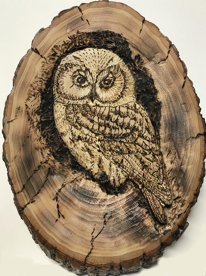 Saw Whet Owl #1 Relief by Terry Frederick