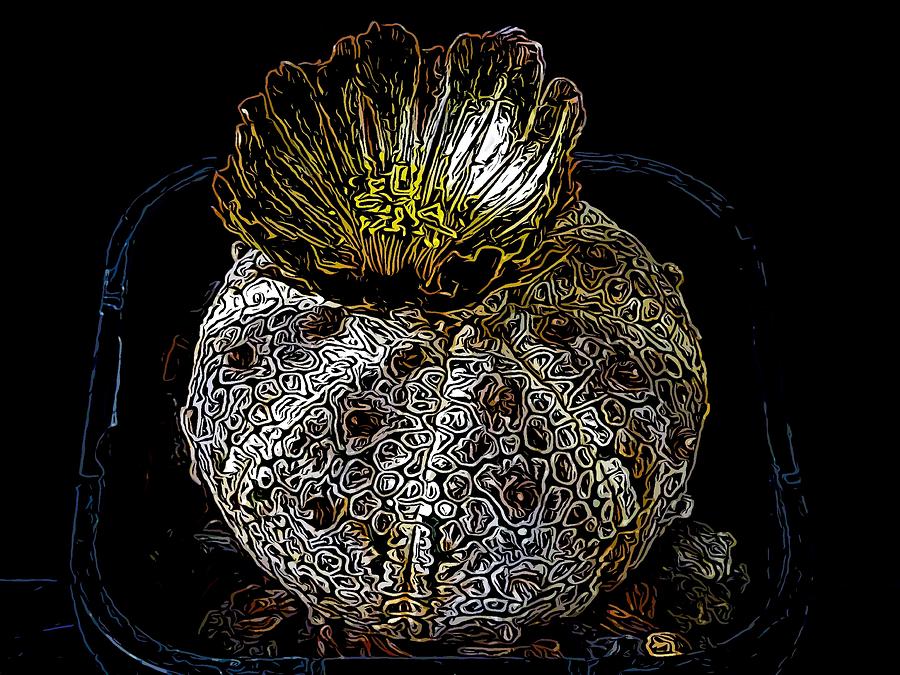 SB Cactus Flower 0004D04 #1 Digital Art by Selena Boron