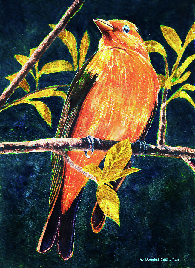 Scarlet Tanager #1 Painting by Douglas Castleman