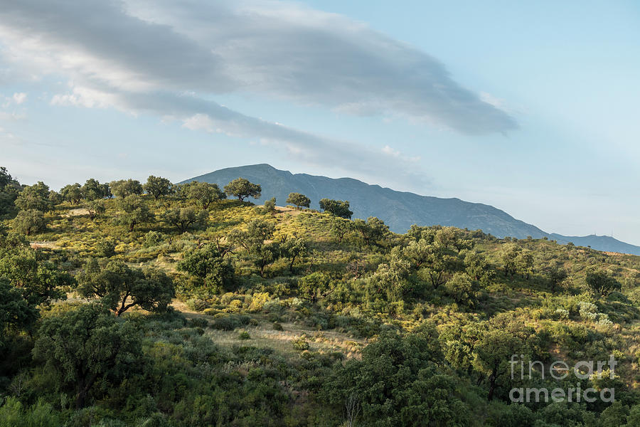 Scenic spanish landscape in Andalucia #1 Photograph by Perry Van Munster