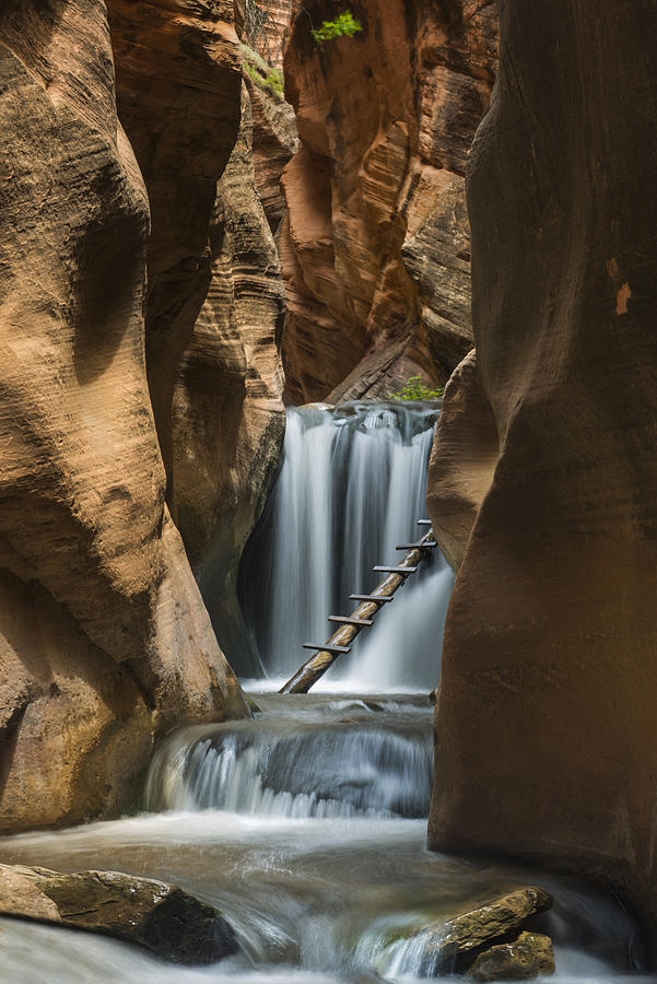 Scenic view of waterfall amidst canyon at Kanarraville Creek #1 Photograph by Cavan Images Scenic view of waterfall amidst canyon at Kanarraville Creek #1 Photograph by Cavan Images