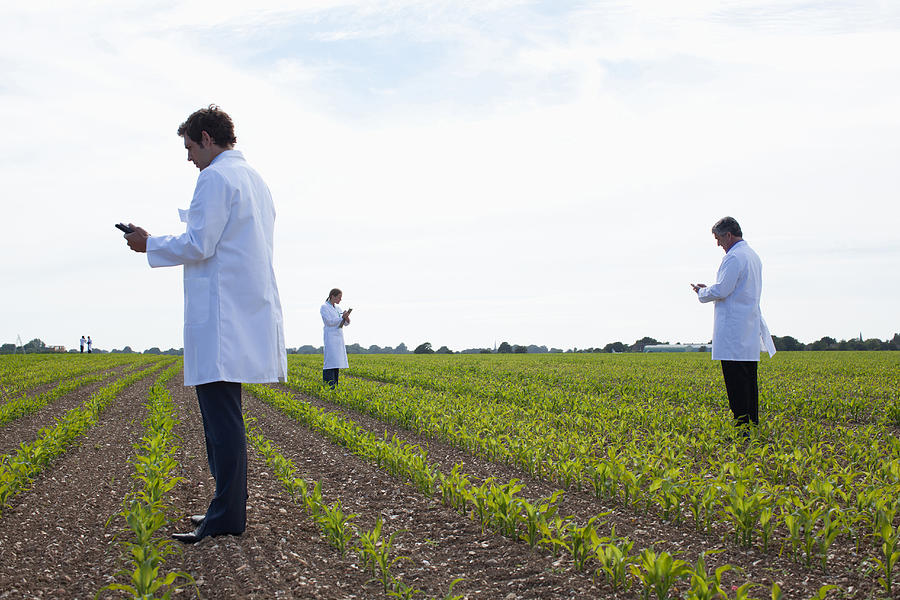 Scientists examining crops in field #1 Photograph by Martin Barraud