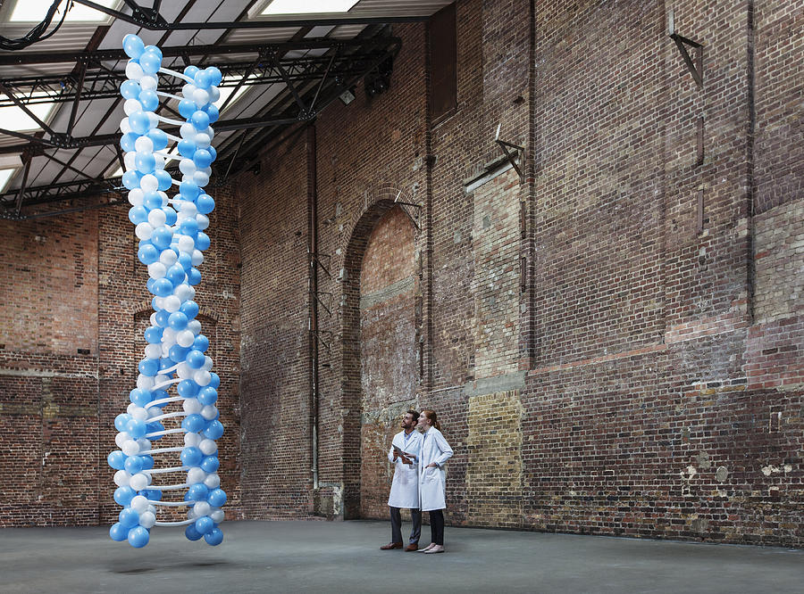 Scientists in warehouse with DNA made of balloons #1 Photograph by Anthony Harvie