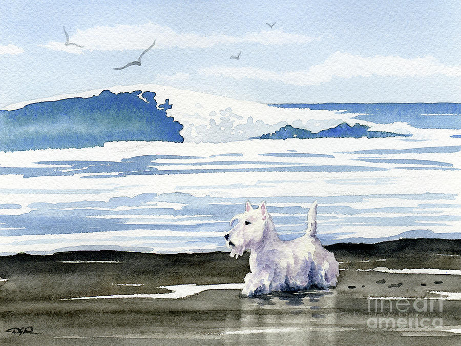 Dog Painting - Scottish Terrier at the Beach #1 by David Rogers