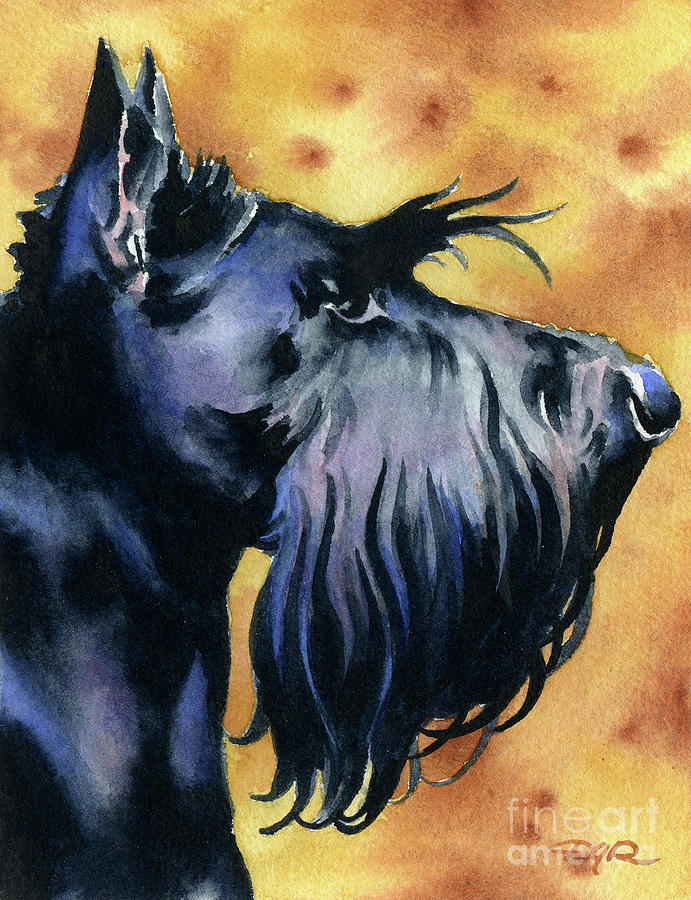Dog Painting - Scottish Terrier Dog Art #1 by David Rogers