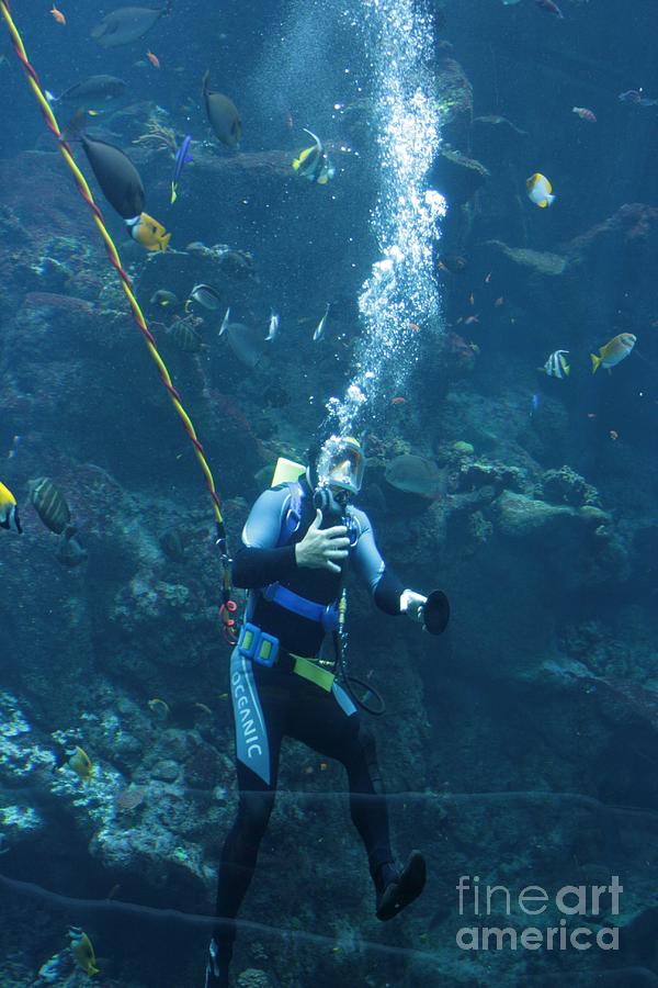 Scuba Diver #1 Photograph by Cynthia Marcopulos