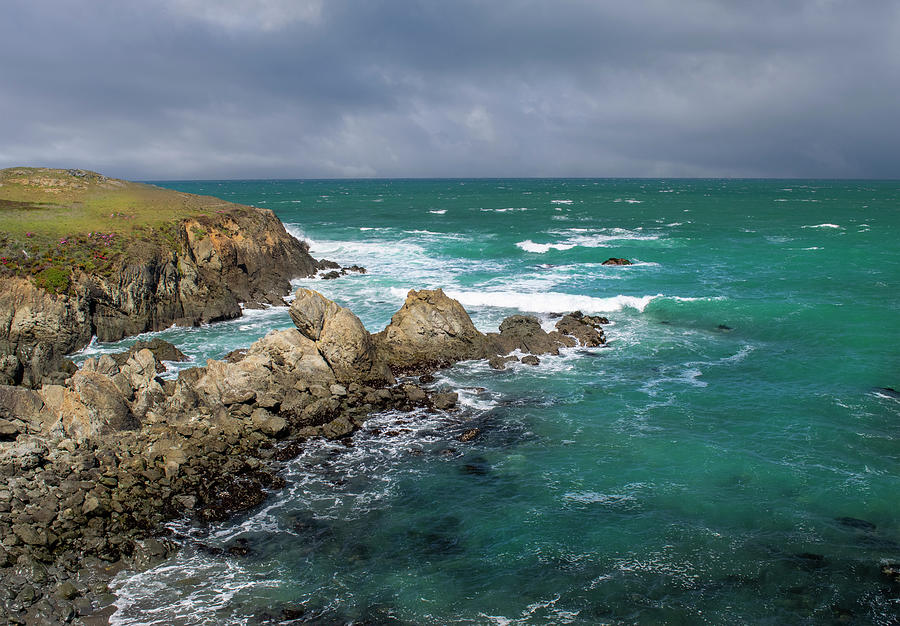 Sea Cliffs #2 Photograph by Frank Wilson