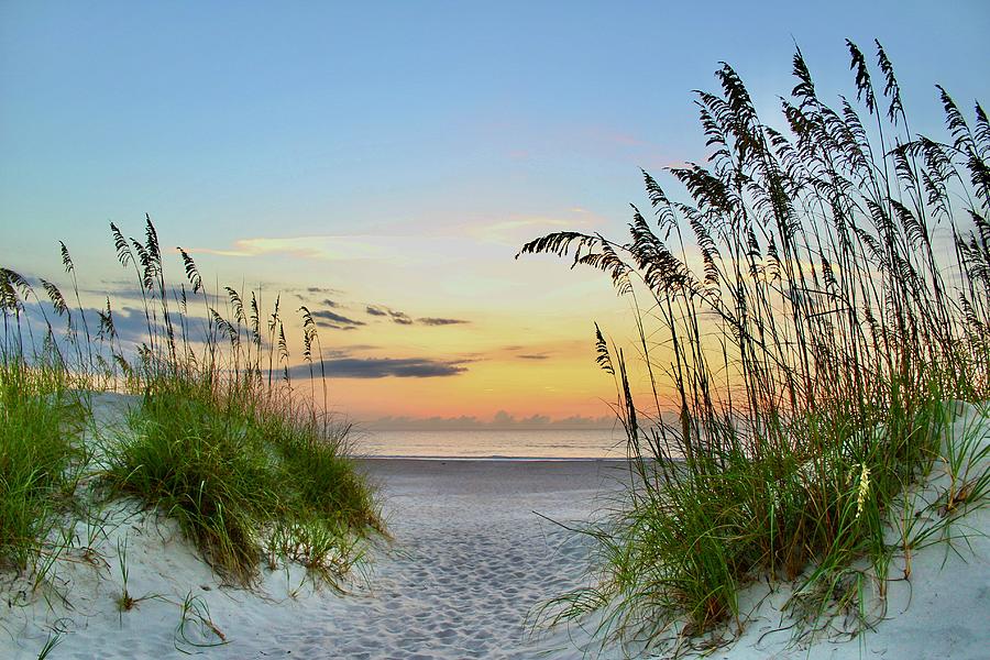 Sea Oat Sunrise Photograph by Laurie Snow Hein - Fine Art America