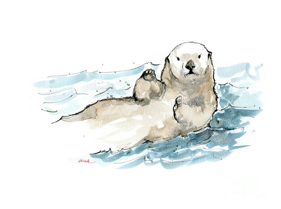 Sea Otter Drawing