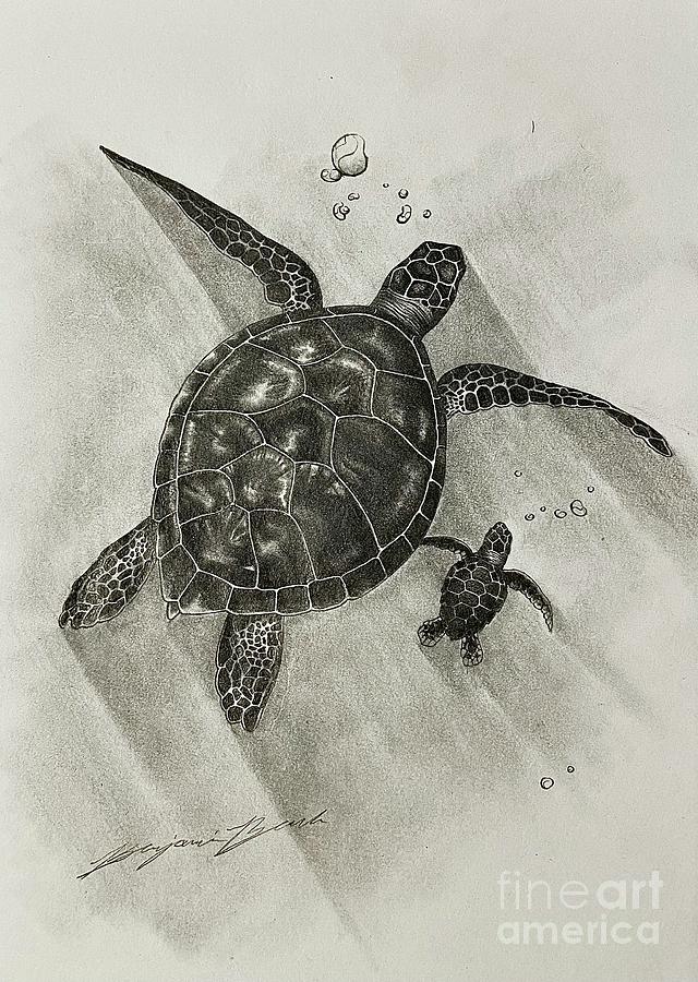 Sea Turtles Drawing by Benjamin Beach - Fine Art America