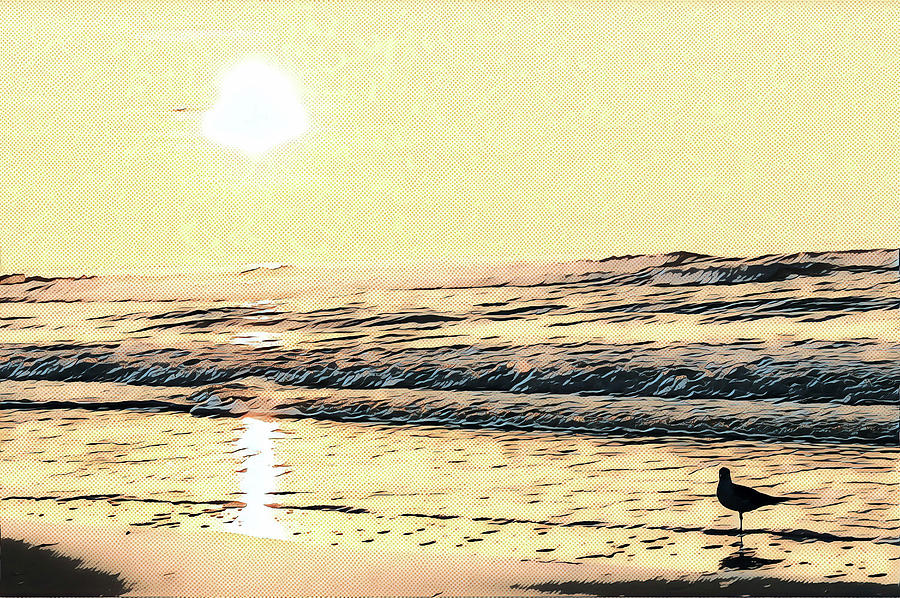 Seagull At Sunrise Digital Art