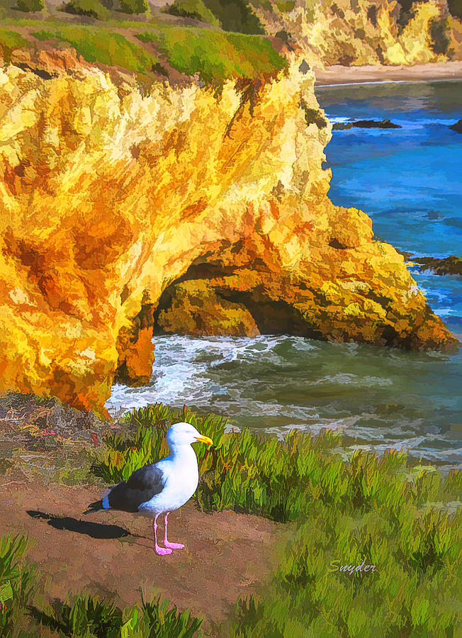 Seagull Sentinel at Dinosaur Caves Watercolor #1 Photograph by Floyd Snyder