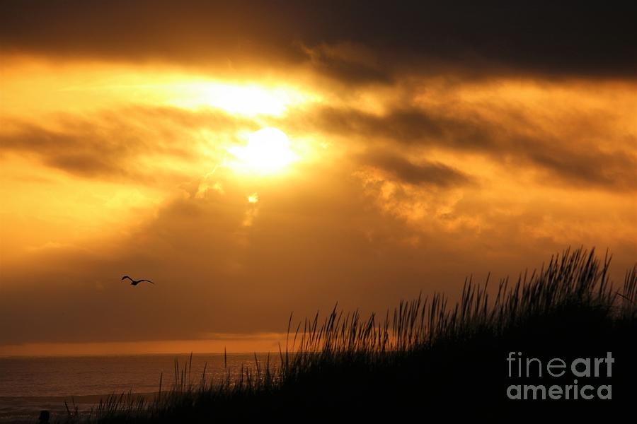 Seaside Sunset Photograph